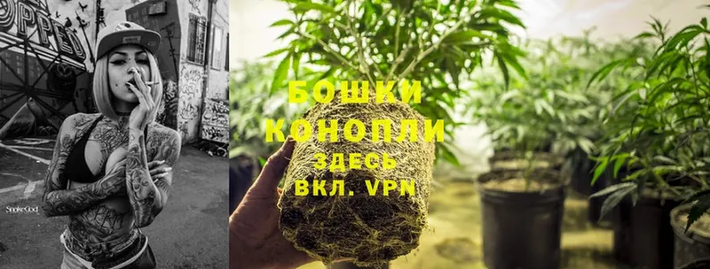 МЕГА онион  магазин  наркотиков  Гатчина  Бошки марихуана SATIVA & INDICA 